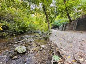 A peaceful creek runs through a lush, wooded area in Miller Bird Refuge and Nature Park, surrounded by dense greenery and a dirt path alongside a wooden retaining wall. The tranquil scene is filled with natural beauty, including rocks scattered in the water and trees leaning over the path.